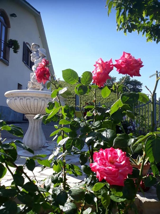 Ca Du Ruja Konuk evi Strevi Dış mekan fotoğraf